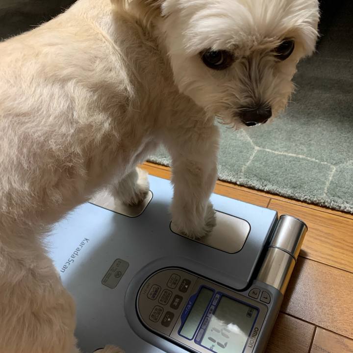 919b50c1 dfa4 474e ac61 87ba2979c278 1627560073577