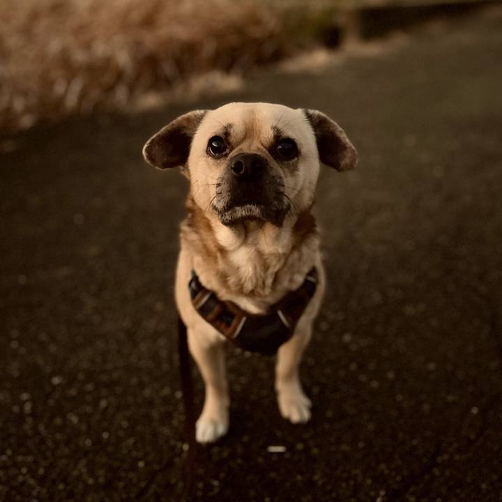 919b7d4e cb2f 4b60 a0ff 70b880ec0df4 1767823880624