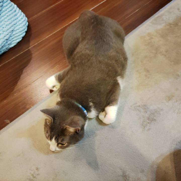 919b81a1 392f 40e4 9ca9 5f36201e76f1 1658327463005