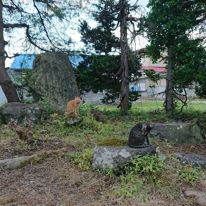 919b99e7 f43d 4288 95ab e1ab86e60a5a 1658309640123