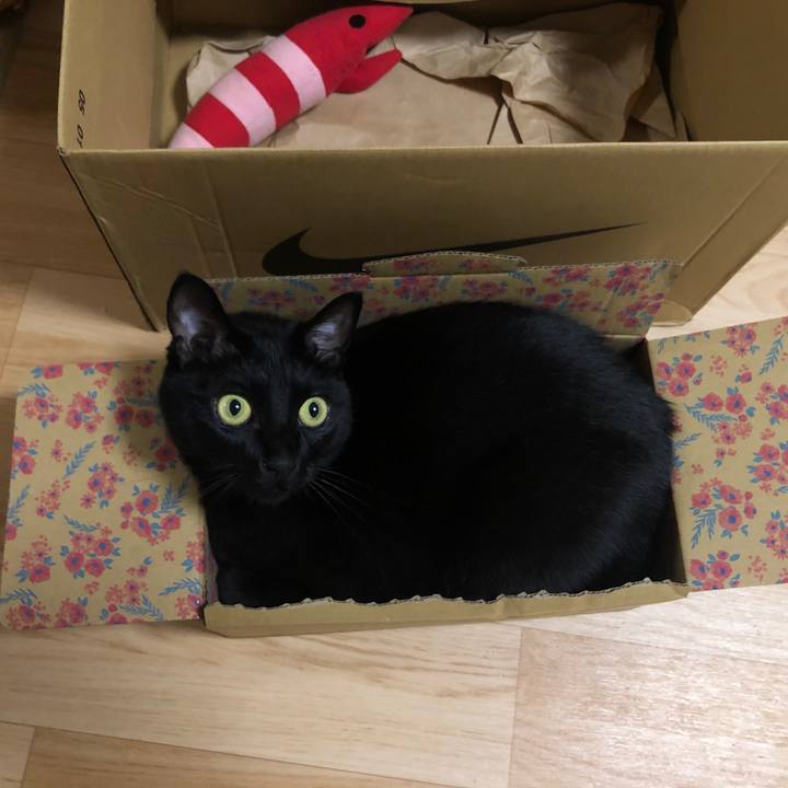 919ba18f 4bcf 4cd5 94fd 4058128fa0dc 1591180102089