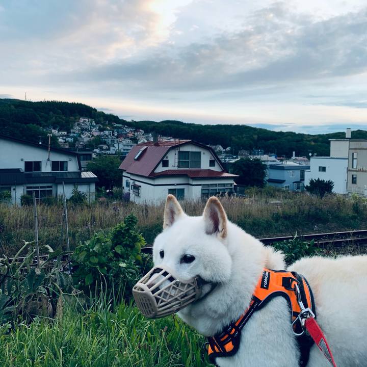 919bb17f e49d 45b1 be9d db992978f919 1633554442168