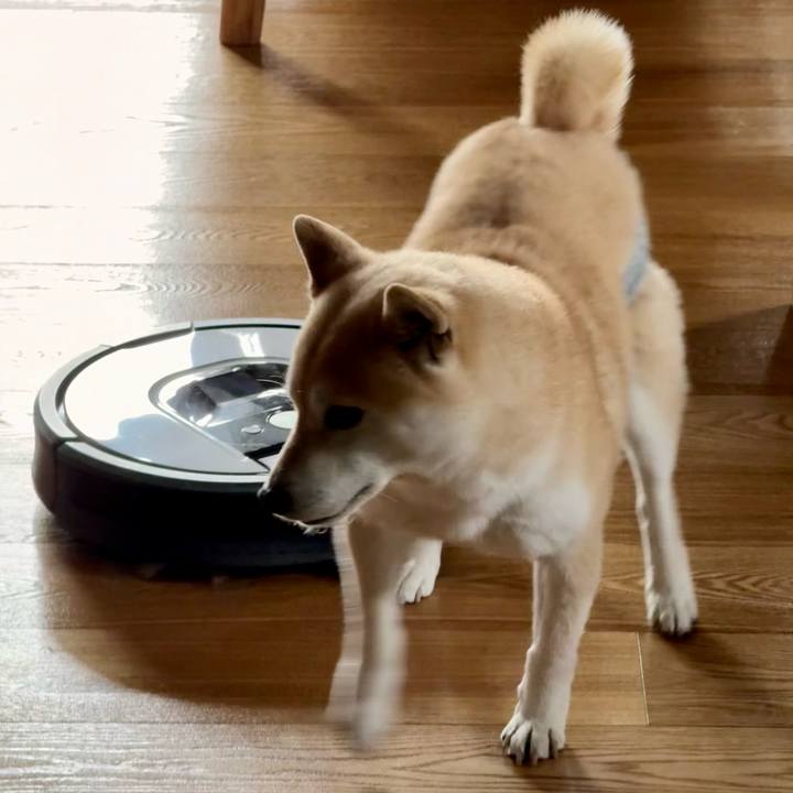 919c1438 194a 4d01 b861 baaa26bfca1d 1774853048677