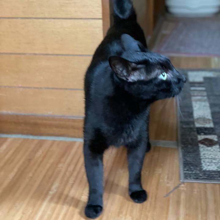 919c3e79 30a4 4c77 82d5 462a380b0459 1633311032911