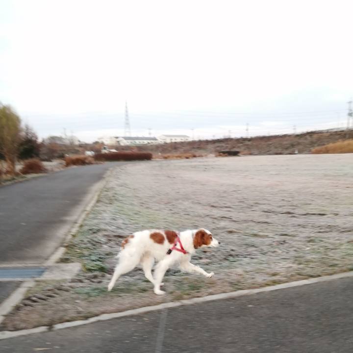 919c5b62 264c 4700 92e0 0d30b399fb62 1609027037276