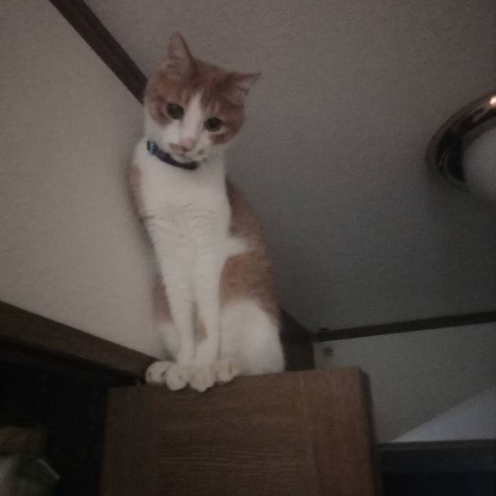 919c72cc 51a9 4330 94e5 33249e310813 1618734672271