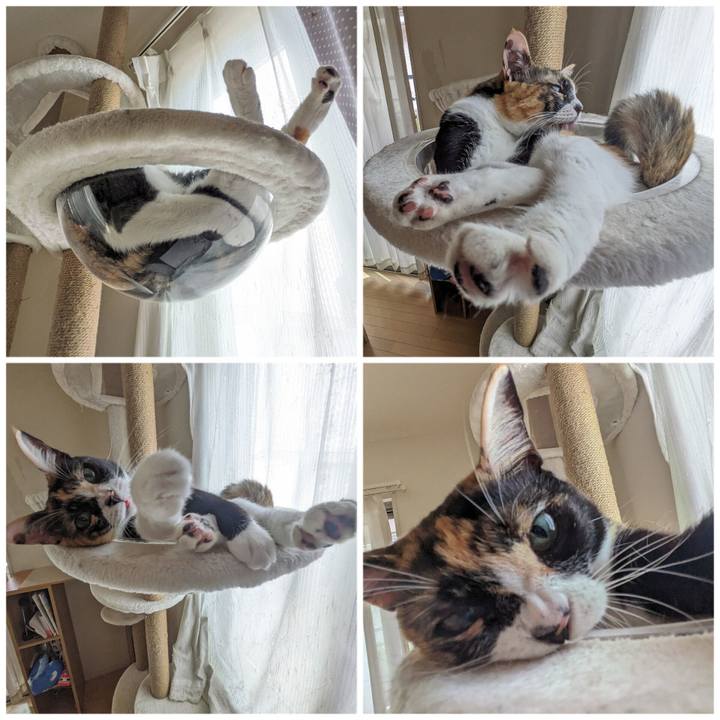 919cf64f 2b7d 444f 8e6d 0741fa62df06 1695183344360