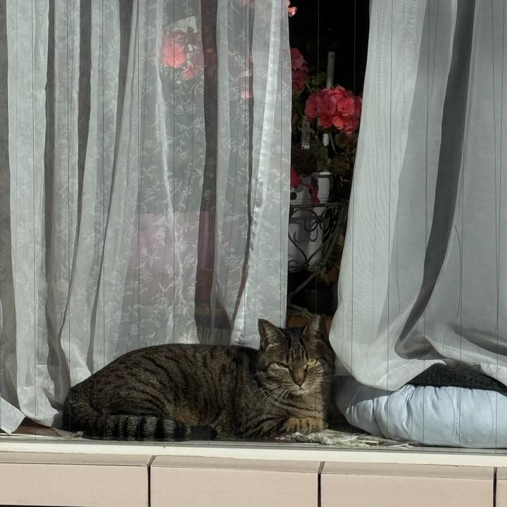 919d2028 0d4c 4ab2 b2a0 8a48de9bcdf3 1771467730796