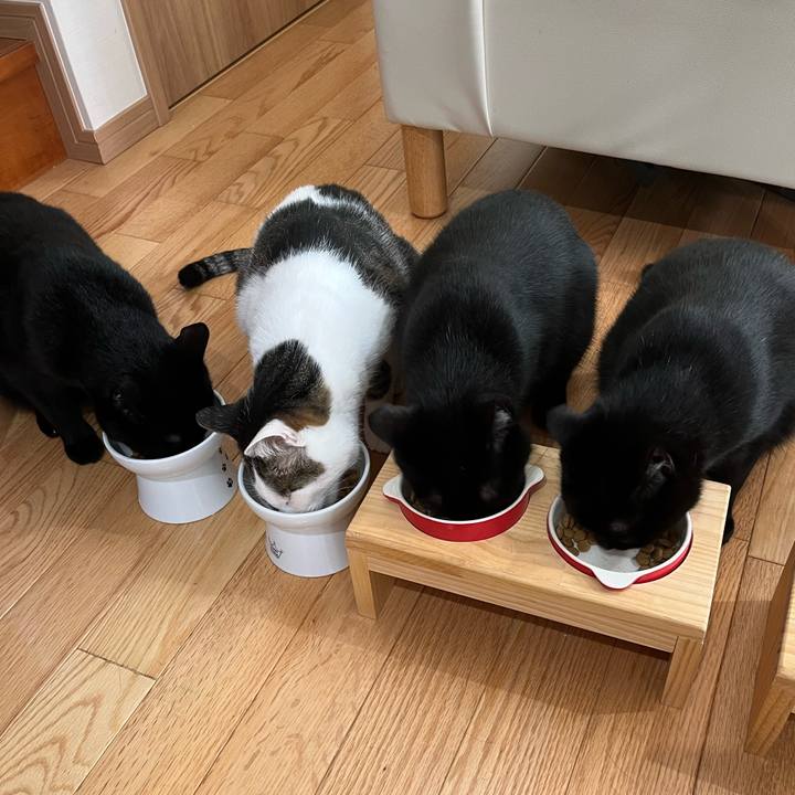 919d2642 0e76 4610 a9b4 7028958f5d6e 1653516087964