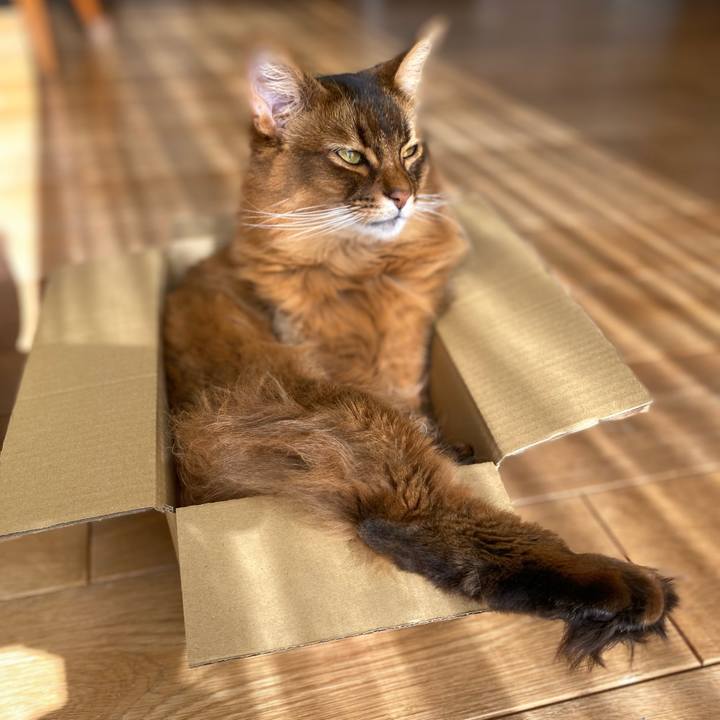 919d5229 0414 479f 8c31 d93804058815 1703557919771