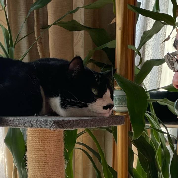 919d616e ec40 4d68 9134 fe7375ae6c93 1758673252530