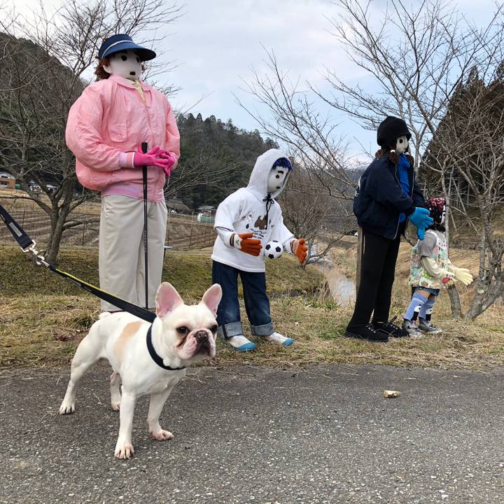 919d6586 d17e 4d3e be1e 4f21fb34e9c8 1521261919804