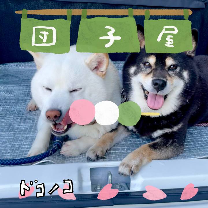 919d9fd4 e553 4df8 8e74 e58a0ba4034f 1712215913200