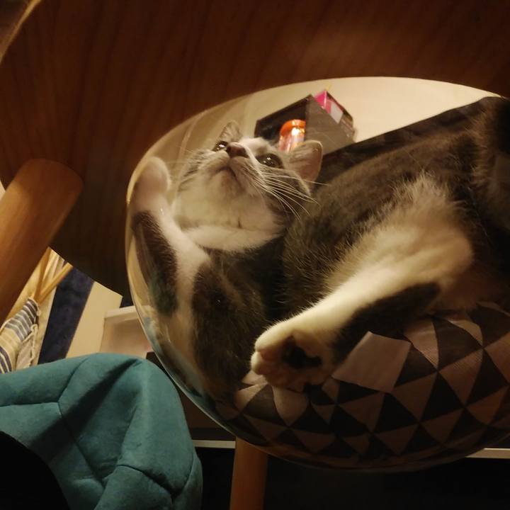 919dd814 ea36 48dd a34a 1303423a64e0 1580113672973