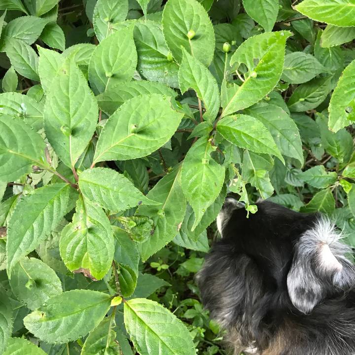 919e1160 e8a3 4162 a5f4 799eacab6f4f 1528004675032