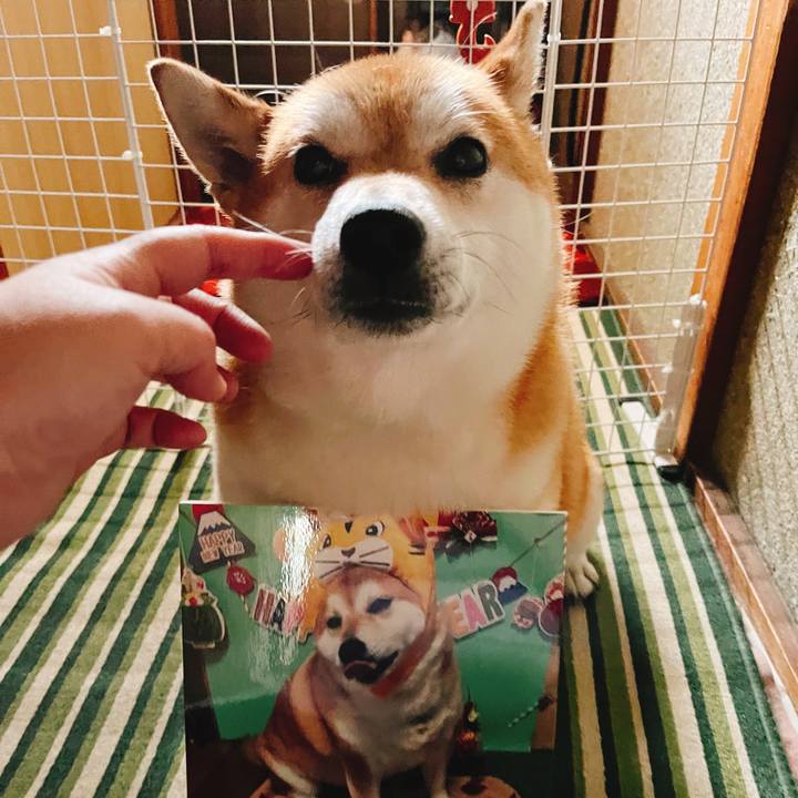 919e28e5 f4de 430e 968f 64a4537095c3 1654223028720