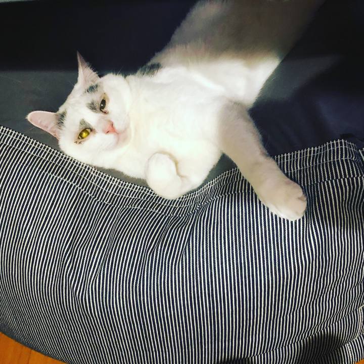 919e3cc4 b314 4080 befd 2f1197ac5219 1547157177838