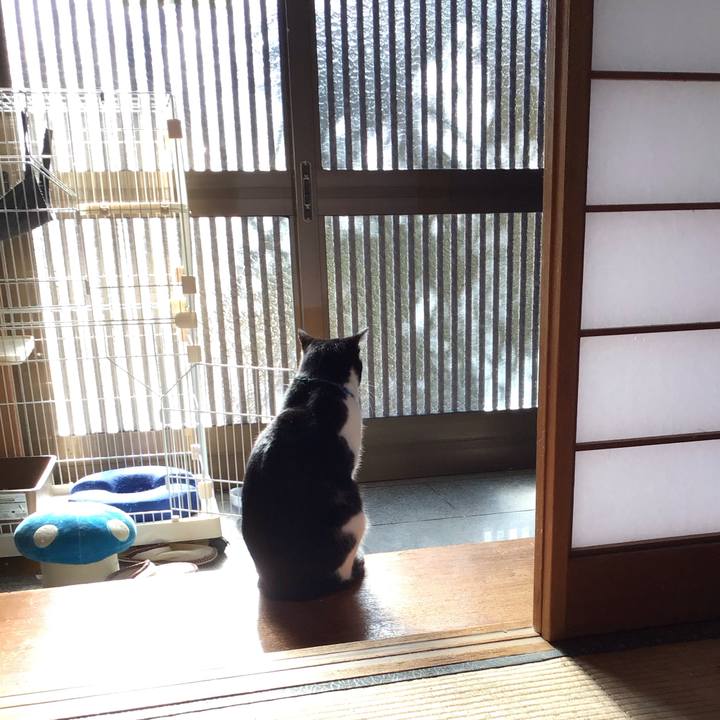 919e4117 3229 49cf 87ec 2ff528935739 1704616664844