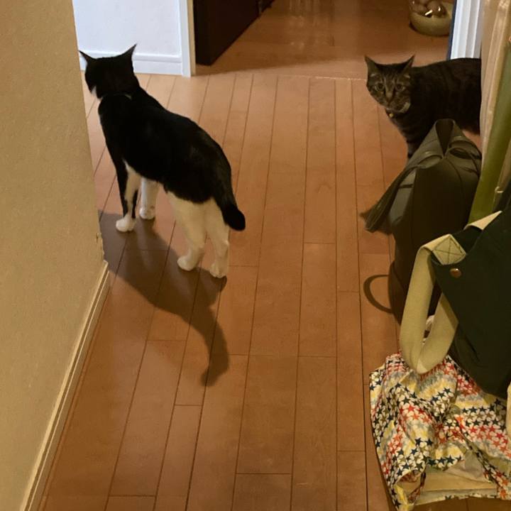 919e429e 4810 47e8 861a 94876c15b949 1692935763726