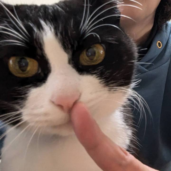 919e4f82 1f85 49f6 84e4 91802a4b703c 1733125987654