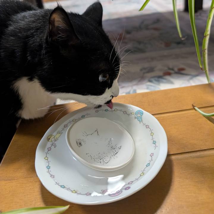 919e8477 e068 43d5 a299 a80460fff99e 1756130291063