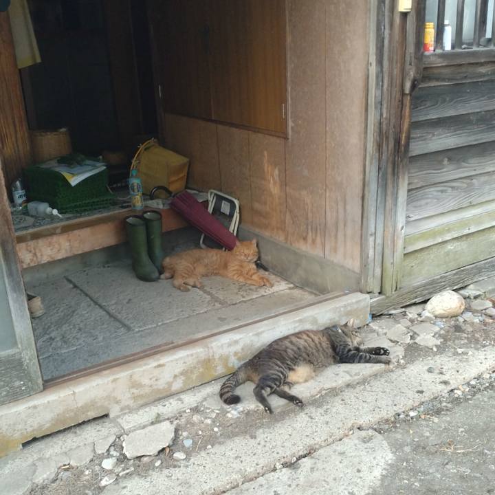 919e9e16 9f8b 4865 8cee bf4b76600adb 1753781929258