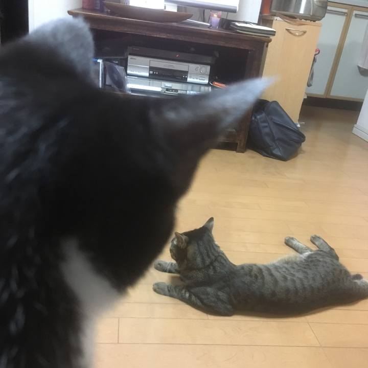 919ecf76 6e90 49ed 94ad 51af966e36ed 1508377145286