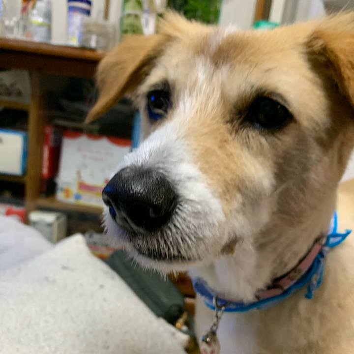 919ed618 d1e3 4a70 a6d3 8362cefe6430 1591784243842