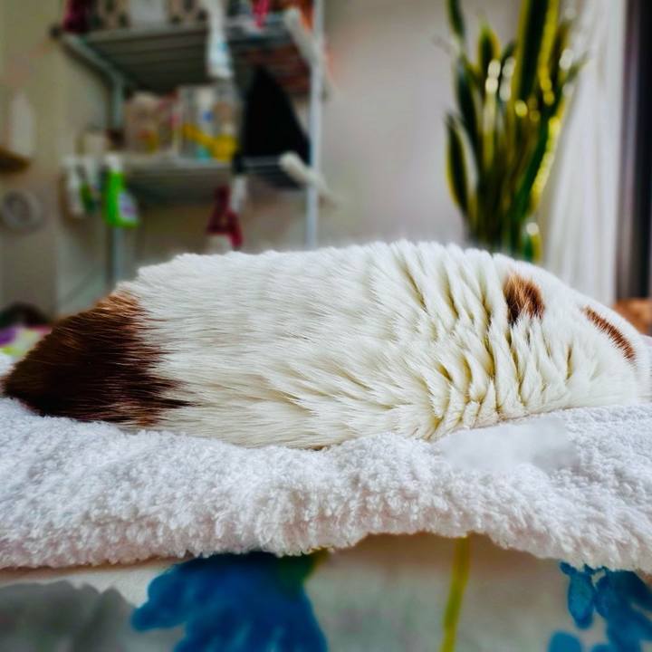 919eeac1 6de1 4bb3 b2db faaaf5b01905 1696921011458