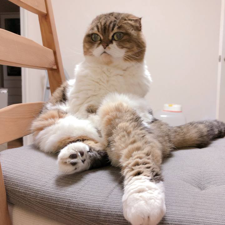 919f00c5 825b 4cf6 b32e c713b0609da8 1552300447312