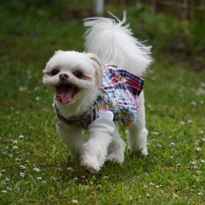 919f0b16 634c 42ea 9906 39842a16d186 1654470610873