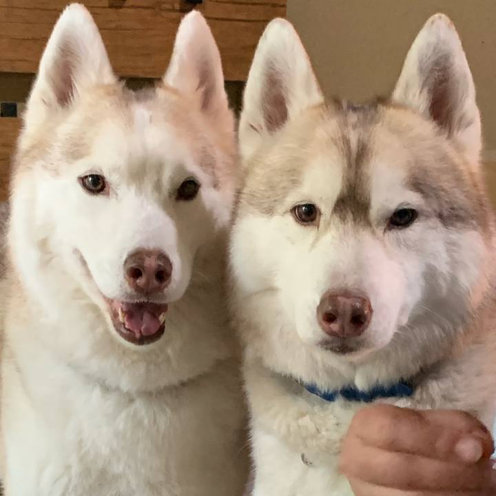 919f0e7c d2cf 47ef bbcb 0cf5011860dd 1651887197669