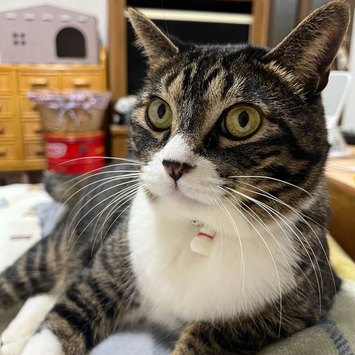 919f270a e3c7 4bc3 9ad0 615f89a3205a 1768521455361