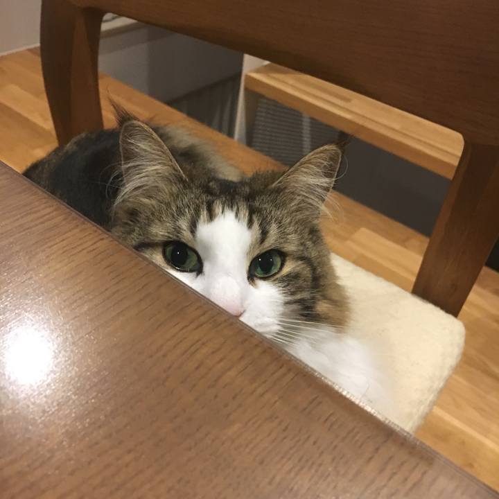 919f2db6 067b 4ff4 bc2d 26c253df8874 1554118203963