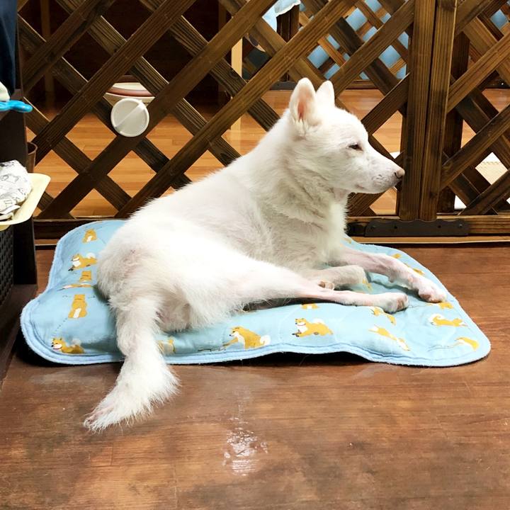 919f326f 2030 465b 9397 b47c5849b526 1599644050684