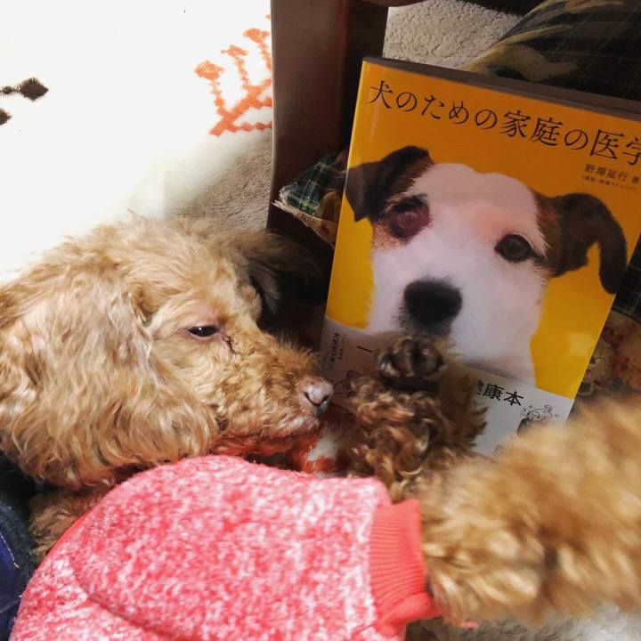 919f3480 53e2 4c00 8d90 897a434ef6cb 1576646729117