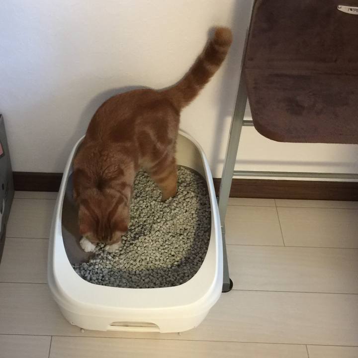 919f4ab7 c2d7 4560 9053 d52950a53e7d 1529970689027