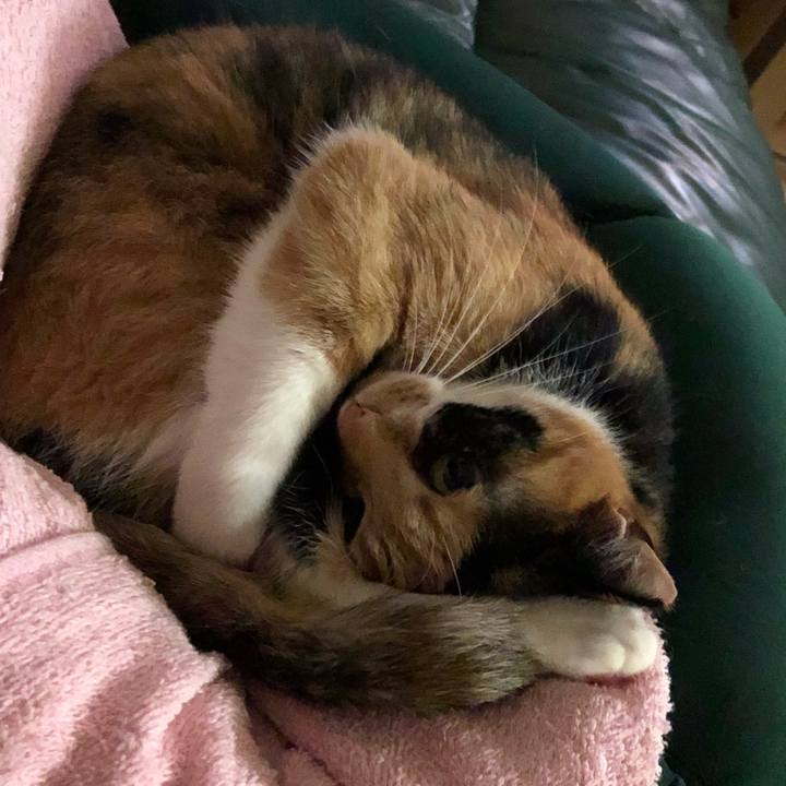 919f4fce 9b12 4a42 b79d c7723edad9d1 1536061507332