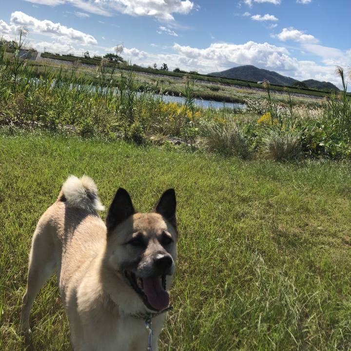 919f5e44 9b28 40c9 8314 eec5c96c5aaa 1634470280943