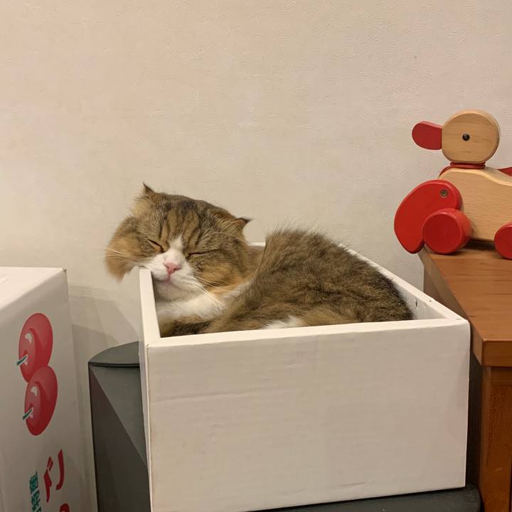 919fa34c a5d5 4429 94d7 cc81f800f6aa 1541939179407