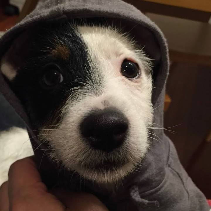 919fb0e3 22d5 45ee abec d663242e8c58 1676810956842