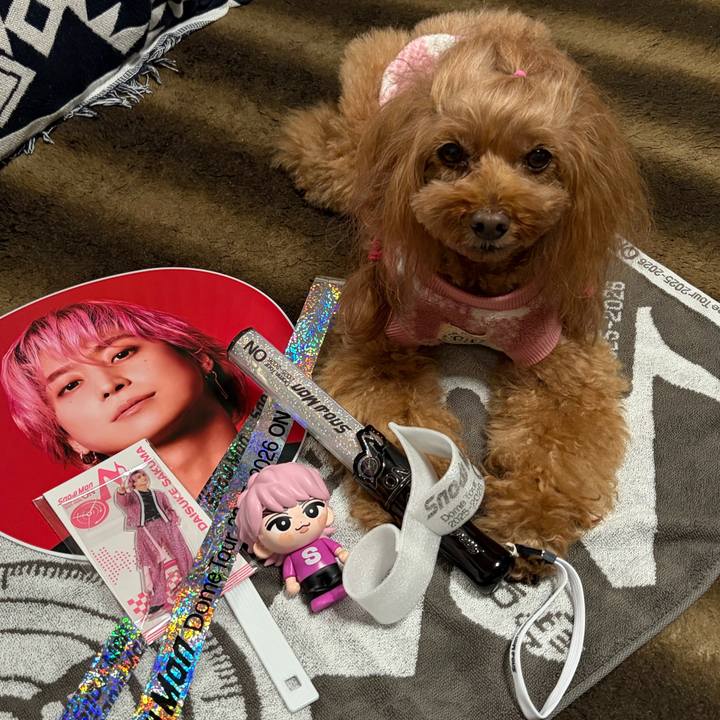 919fea52 0d6d 4a76 a17d d5c503922992 1765112652218