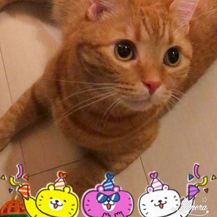 919ff5f6 cfba 45ee a81f 402de6459fb8 1565712964784