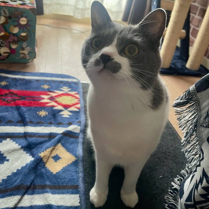 91a01297 4d3f 451d 86f3 6d89088fc4a7 1679704438947