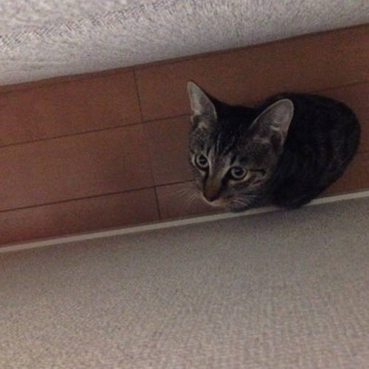 91a04be3 af78 4277 a201 f97eb024a2ae 1521714995778