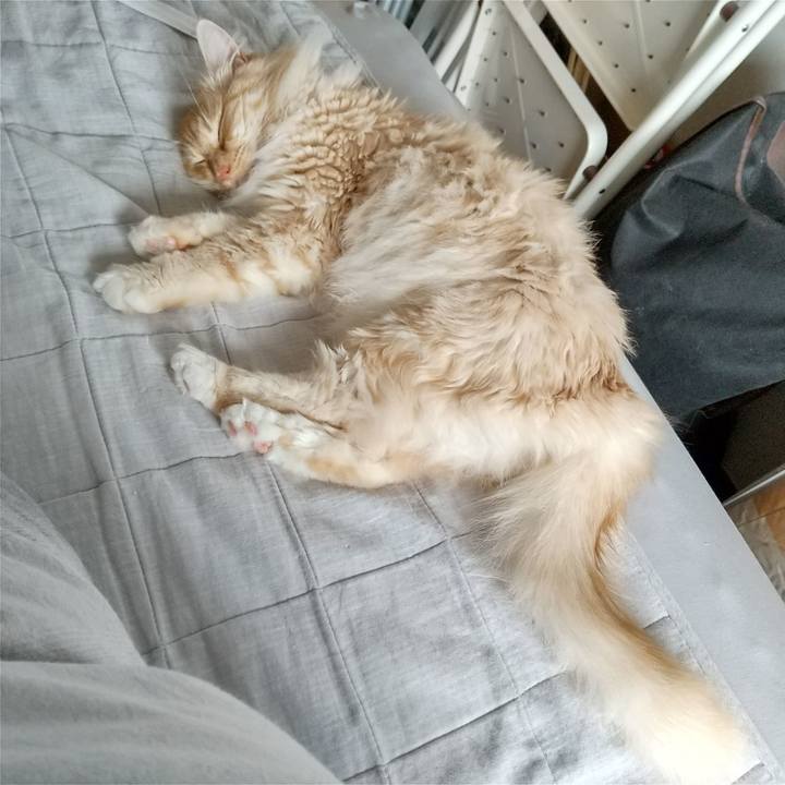 91a076c5 9dbe 4852 99c8 a20be946cdf4 1650673507008