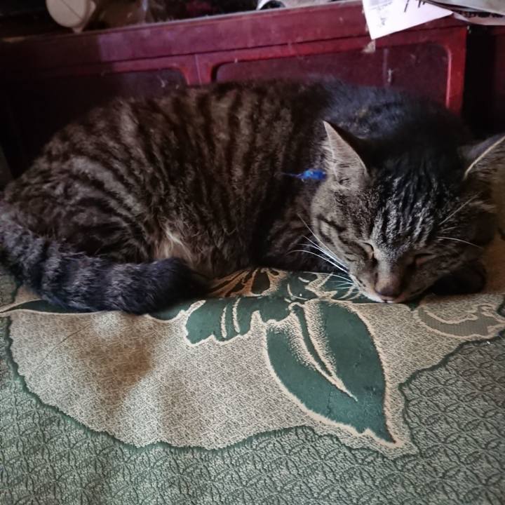 91a0b0c4 1e48 4899 8123 63eb222c28d9 1656116938348