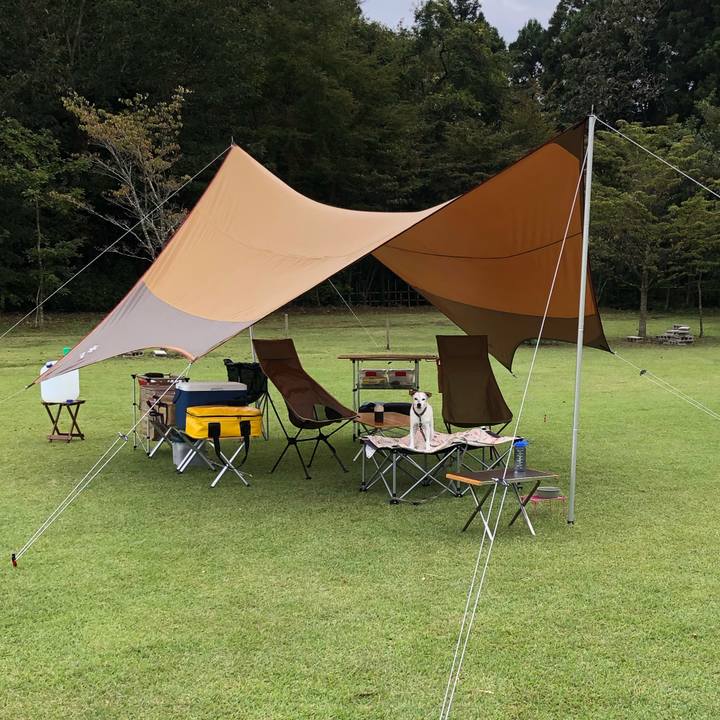 91a0b7ce 005e 42b8 b957 a21a5ddd4c74 1570340714390