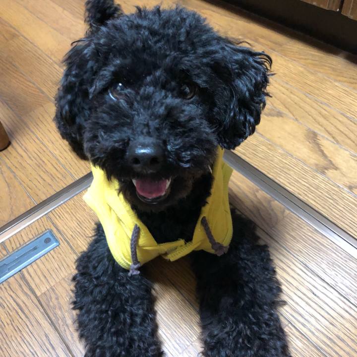 91a0bc4a 1dd2 43a8 bd1b 4ee575cd4d9d 1523668062079