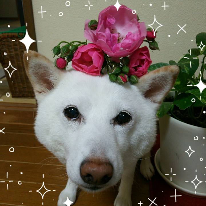 91a0dec7 eb0b 43c8 a667 60d43b1e0b12 1621735797366